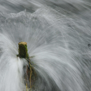 Wasser III (Rheinfall) Schaffhausen 2019